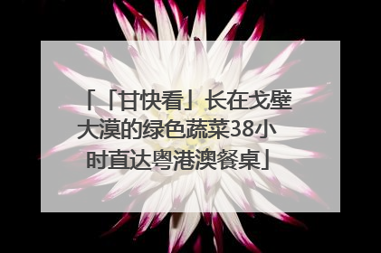 「甘快看」长在戈壁大漠的绿色蔬菜38小时直达粤港澳餐桌